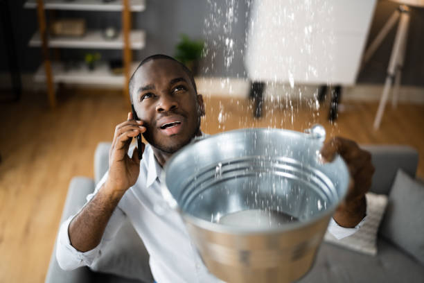 Best Emergency water damage restoration  in Mendon, IL