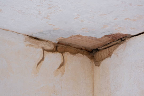 Best Flood restoration services  in Mendon, IL