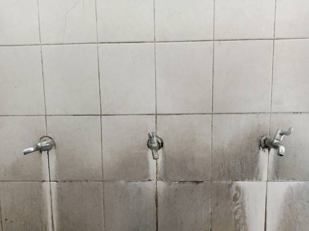 Best Water damage restoration near me  in Mendon, IL