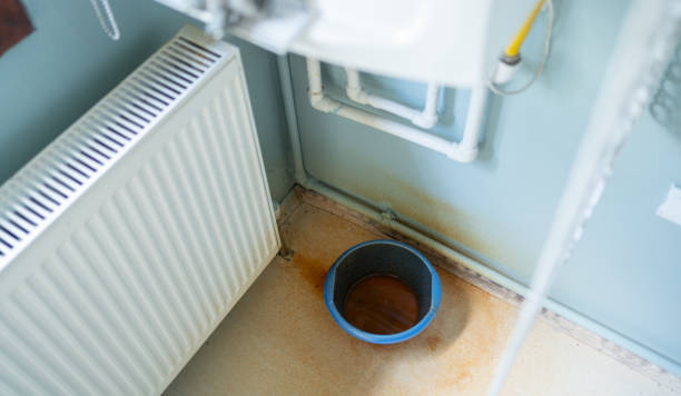 Best Flooded house restoration  in Mendon, IL