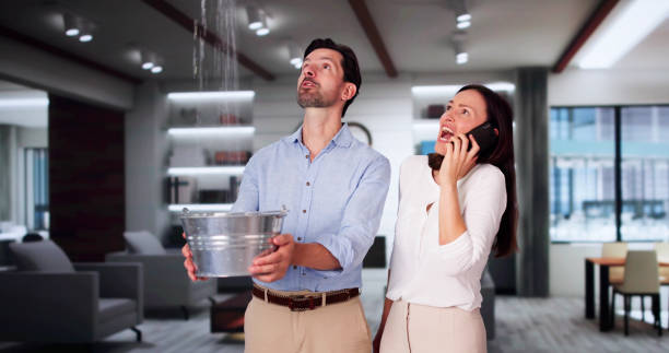Best Water damage contractors near me  in Mendon, IL