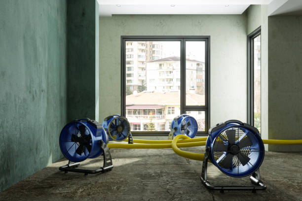 Best Commercial water damage restoration  in Mendon, IL